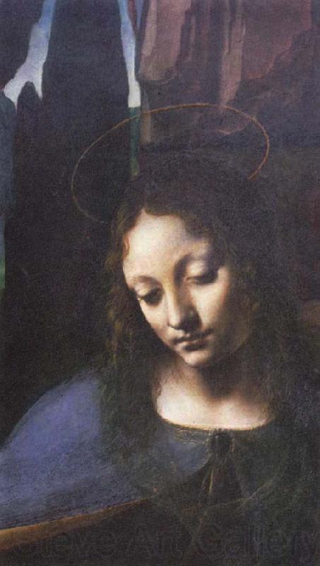 Leonardo  Da Vinci Detail of Madonna of the Rocks Germany oil painting art